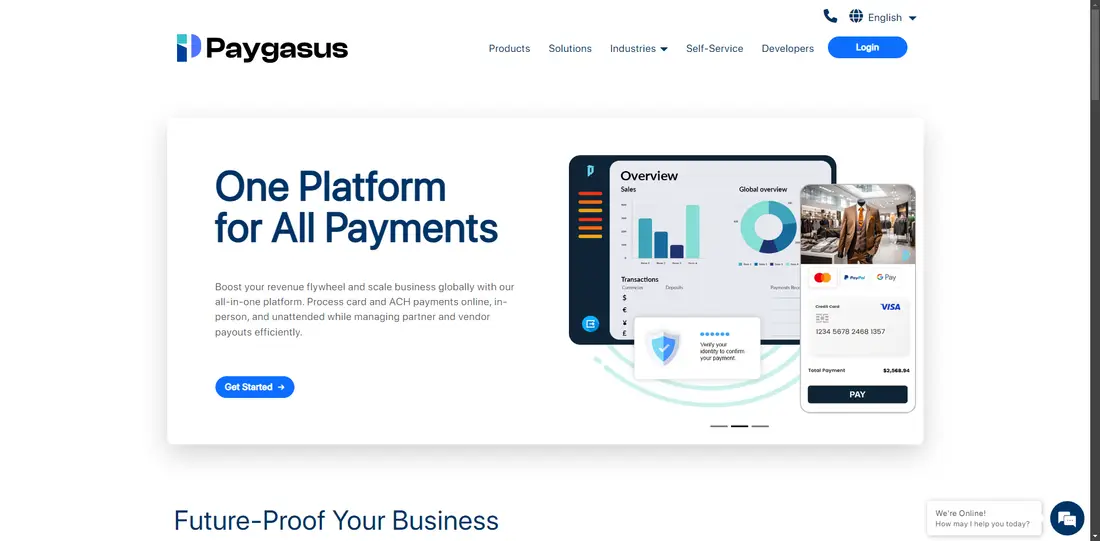 PayZang website screenshot